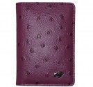  Braun Buffel 40400-125-045